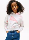 Grey Hooded Sweatshirt  Girls