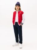 Blue Flag Embroidery Cuffed Joggers  Kids Unisex