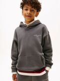 Grey Logo Regular Fleece Hoody  Kids Unisex