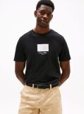 Black Ithaca Stripe Flag T-Shirt  Men