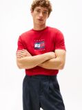 Red Flag Graphic Jersey T-Shirt  Men