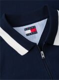 Blue Relaxed Fit Global Stripe Polo Shirt  Men