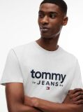 Γκρι Slim T-Shirt Με Λογότυπο Και Σχέδιο  Άνδρες