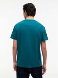Πράσινο Βαμβακερό T-Shirt  Άνδρες