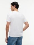 Άσπρο Βαμβακερό T-Shirt  Άνδρες