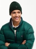 Green Hilfiger Flag Beanie With Cashmere  Men