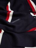 Blue Global Stripe Wool Blend Scarf  Men