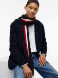 Blue Global Stripe Wool Blend Scarf  Men