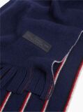 Blue Reversible Global Stripe Pure Wool Scarf  Men