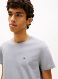 Γκρι T-Shirt Σε Κανονική Γραμμή Με Κλασική Λαιμόκοψη  Άνδρες