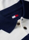Multi Tommy Flag Slim Polo Jumper  Men