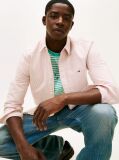 Multi Slim Stripe Oxford Shirt  Men