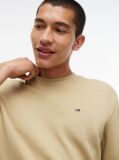 Beige Regular Sweatshirt Flag Crew Neck  Men