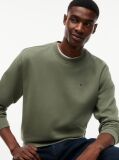 Green Regular Sweatshirt Flag Crew Neck  Men