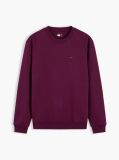 Purple Regular Sweatshirt Flag Crew Neck  Men
