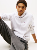 Grey Regular Flag Hoodie  Men