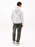 Grey Regular Flag Hoodie  Men