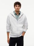 Grey Regular Hoody Zip Thru  Men
