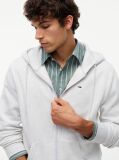 Grey Regular Hoody Zip Thru  Men