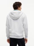 Grey Regular Hoody Zip Thru  Men