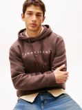 Brown Regular Logo Hoody  Men