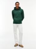 Green Regular Logo Hoody  Men