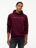 Purple Regular Logo Hoody  Men