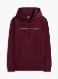 Purple Regular Logo Hoody  Men