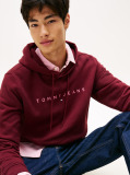 Red Regular Logo Hoody  Men