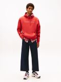 Red Regular Logo Hoody  Men