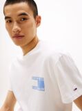 Beige Paisley Back Logo T-Shirt  Men
