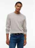 Brown Crew Neck Slim Jumper  Men