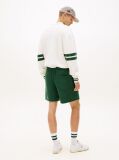 Green Flag Patch Regular Bermuda Shorts  Men