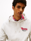 Γκρι Terry Hoody Με Λογότυπο  Άνδρες