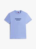Purple Regular Tonal Logo Short-Sleeve T-Shirt  Men