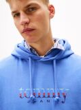 Μπλε Hoody Με Λογότυπο  Άνδρες