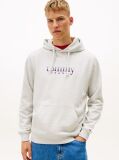 Γκρι Hoody Με Λογότυπο  Άνδρες