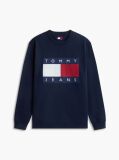 Blue Regular Tonal Flag Crew Neck Sweatshirt  Men