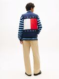 Blue Water Repellent Colour-Blocked Back Logo Gilet  Men