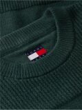 Green Tommy Badge Textured Jumper  Men