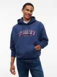 Blue Logo Relaxed Sueded Terry Hoody  Men