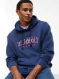 Blue Logo Relaxed Sueded Terry Hoody  Men