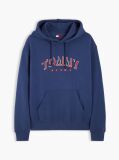 Blue Logo Relaxed Sueded Terry Hoody  Men