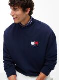 Blue Back Wavy Flag Terry Relaxed Sweatshirt  Men