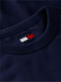 Blue Back Wavy Flag Terry Relaxed Sweatshirt  Men