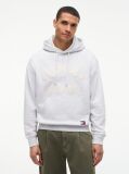 Grey Classic Logo Relaxed Fleece Hoody  Men
