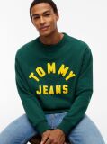 Green Classic Logo Brushed Fleece Relaxed Sweatshirt  Men