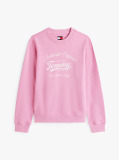 Pink Regular Essential Logo Crew Sweatshirt  Women