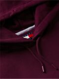 Μωβ Boxy Hoody Με Σημαία  Γυναίκες