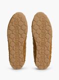 Brown Suede Studded Low Profile Sneakers  Women